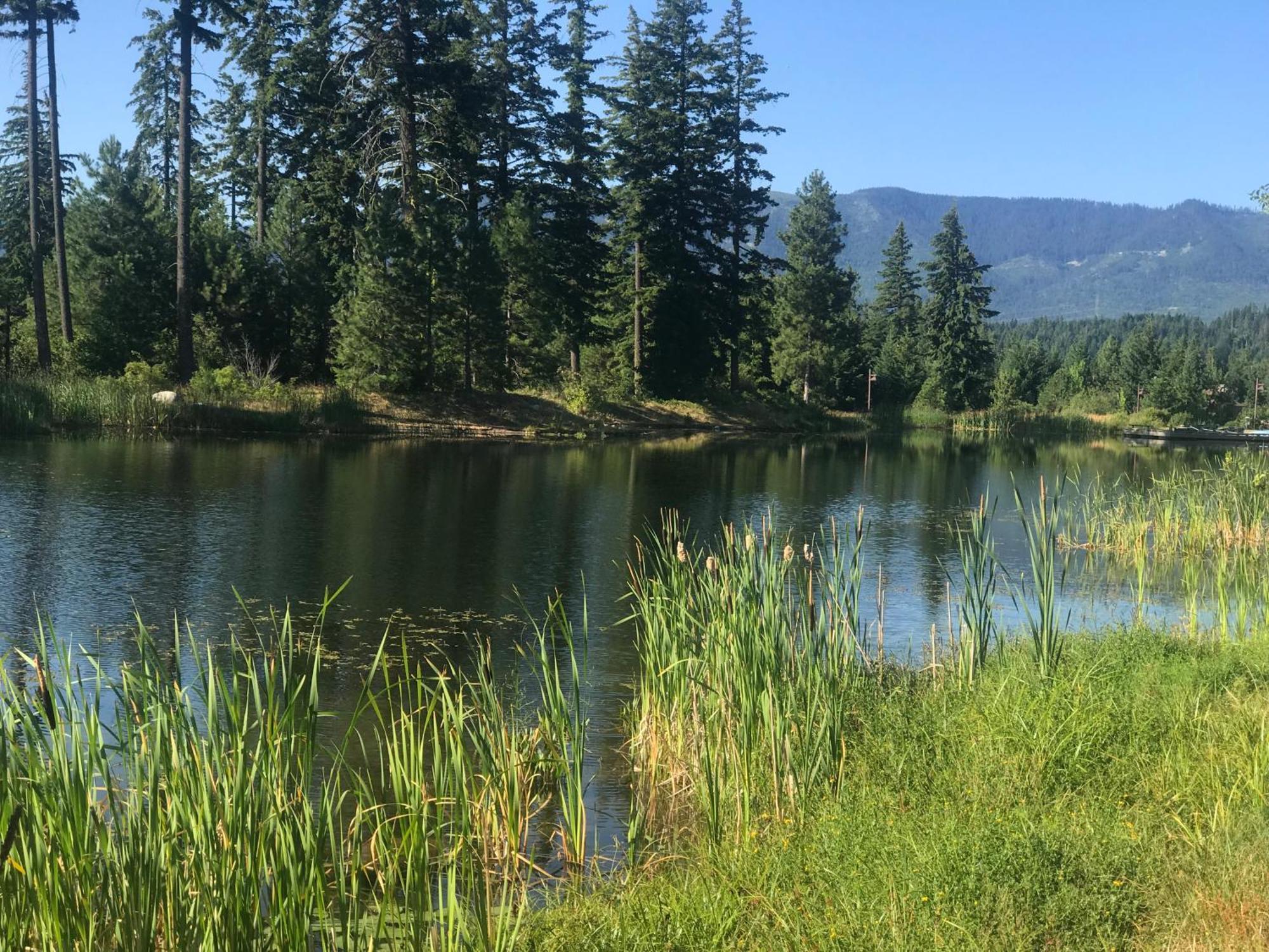 The Best Luxury River View Full Apartment Lodge Unit - 5049 Cle Elum Exteriér fotografie